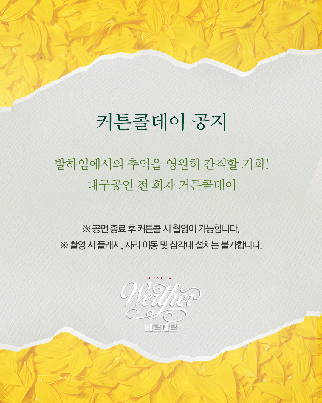 커튼콜데이 공지